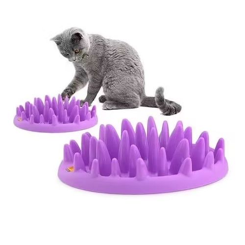 Gamelle Chat Anti Glouton Northmate-Ouragan X