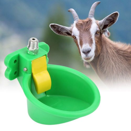 Hjlian Abreuvoir Automatique En Acier Inoxydable Pour Betail