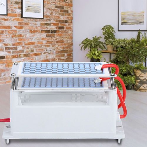 HJLIAN Generateur d'ozone 220 V 10 g/h, ozoniseur a plaque en ceramique, sterilisateur d'air, machine de desinfection a l'ozone