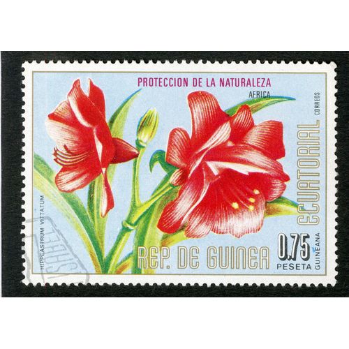 Timbre Oblitéré Rep. De Guinea Ecuatorial, Proteccion De La Naturaleza, Africa, Hippeastrum Vitatum, 0.75 Peseta