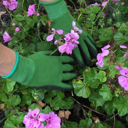 HJLIAN 1 paire de gants de jardinage impermeables pour la plantation de fleurs et de legumes (taille S/M)