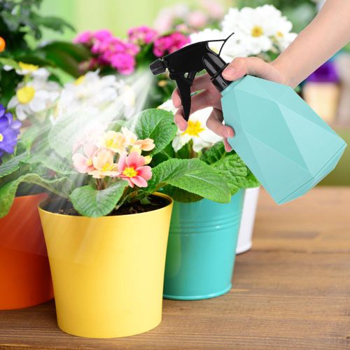 HJLIAN Arrosoir a main pour jardin, pot, plante, fleur, irrigation (vert)