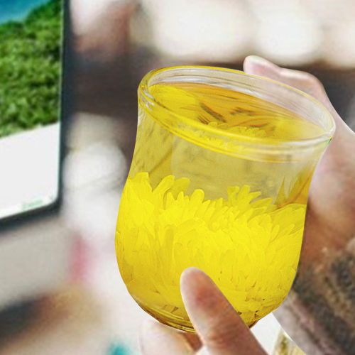 HJLIAN Tisane de chrysantheme biologique, fleurs sechees saines pour la maison et le bureau (1 piece)