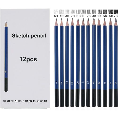 Eryi-12pcs Crayon Dessin Professionnels,Crayon Graphite, Ecriture Douce Croquis Crayon Papier Dessin, Adaptée Aux Enfants, Adultes Et Artistes Débutants, 5h 4h 3h 2h Hb B 2b 3b 4b 5b 6b 8b(Bleu)