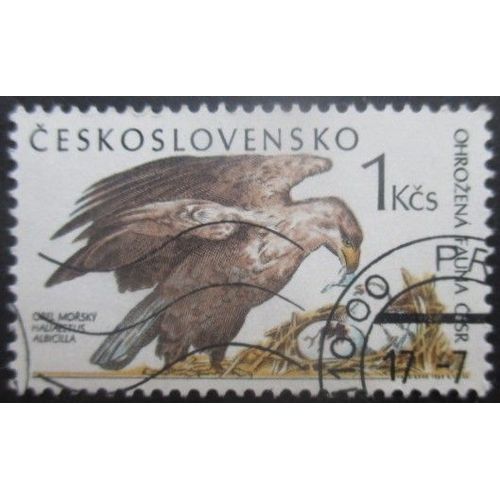 Tchecoslovaquie N°2807 Aigle Oblitéré