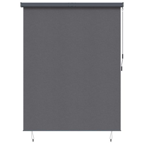 Vidaxl Store Enrouleur Extérieur - 200x250 Cm - Gris Foncé