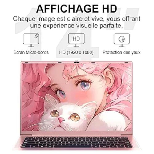 Ruzava RK70 14" Intel Celeron N5095 - 2.9 Ghz - Ram 8 Go - SSD 256 Go + DD 1 To - Azerty - Or