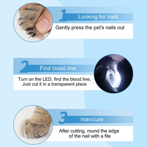 Hjlian Coupe-Ongles Pour Chats Et Chiens, Aiguiseur D'ongles, Coupe-Ongles Pour Animaux De Compagnie, Coupe-Ongles Led - Bleu (Emballage 15*4,3*2cm) Avec Piles Bouton 