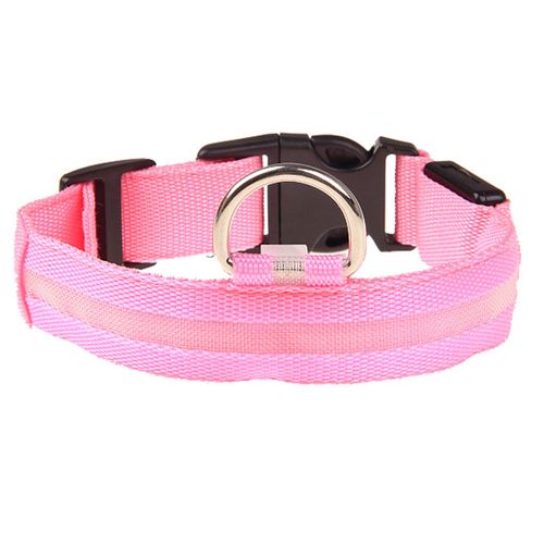 Hjlian Collier Led Pour Chien Taille M, Degagement Rapide, Super Lumineux, Avec Boutons Reglables, Lumiere Rose