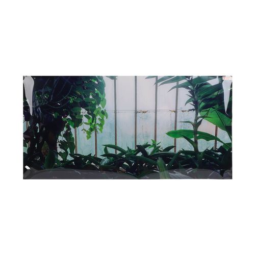 HJLIAN Autocollant 3D en PVC pour decoration d'aquarium, papier peint non toxique, 61 x 30 cm