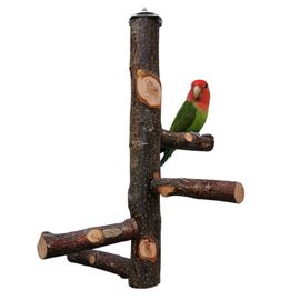 Hjlian Support Pour Perroquet, Support En Bois Massif, Tige Rotative, Jouet En Bois Pour Animal De Compagnie, Bois De Pommier A Macher