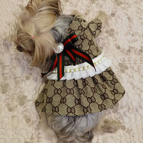 Hjlian Vetements Pour Animaux De Compagnie Marron (Jupe + Chemise) Taille Xs Style Xiaochan Teddy Bichon Bullfighting Cat Jupe Chemise Fournitures Pour Animaux De Compagnie