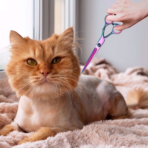Hjlian Ensemble De Ciseaux Professionnels Pour Animaux De Compagnie, Peigne, Ciseaux De Toilettage Pour Chiens, Ciseaux De Coiffure, 4 Pieces