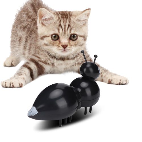 Hjlian Souris Electrique Pour Chat Et Animal De Compagnie, Jouet Vibrant Rotatif, Jouet D'entrainement Interactif (Fourmi Noire)