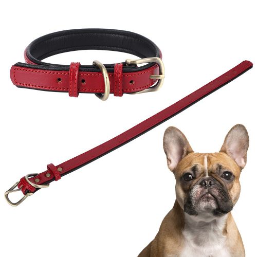 Hjlian Collier Reglable En Cuir Synthetique Pour Chien Avec Boucle En Metal, Pour Taille Moyenne Et Petite, Rouge Xs