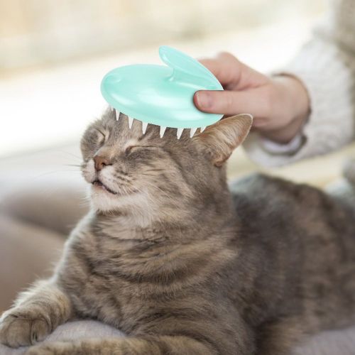 Hjlian Brosse De Massage Et De Nettoyage Pour Poils De Chat Et D'animaux Domestiques En Pp
