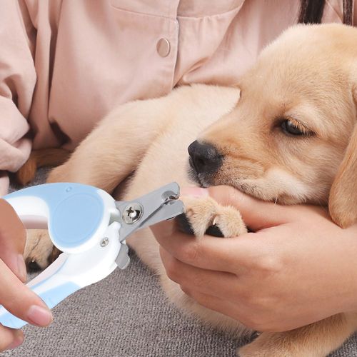 Hjlian Coupe-Ongles Professionnel En Acier Inoxydable Pour Chien Et Chat (Bleu) 