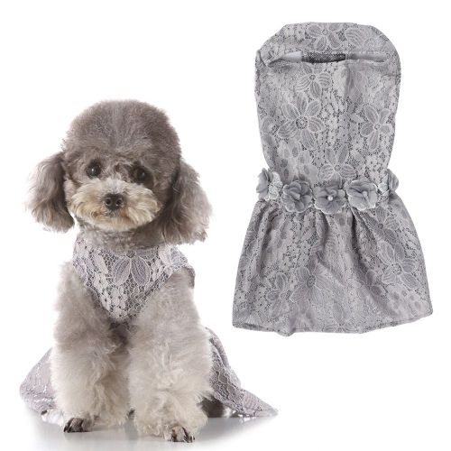 Hjlian Magnifiques Vetements Pour Chien Et Chiot, Robe En Dentelle, Jupe, Accessoires De Photographie (M)