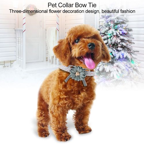 Hjlian Collier Pour Chien En Cuir Pu Souple Et Tendance Avec Noud Papillon Et Fleur (Gris 1,5 X 47 Cm)