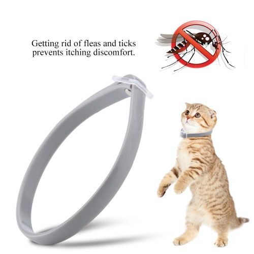 Hjlian Collier Etanche Et Reglable Pour Chat, Anti-Tiques, Anti-Puces, Anti-Moustiques