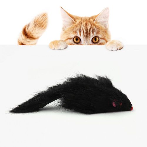 Hjlian Jouet Interactif En Forme De Souris Et De Poils De Lapin Noir Pour Chat