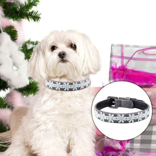 Hjlian Collier Pour Chien Avec Boucle Reglable Et Noud Papillon En Cuir Synthetique (Bleu)