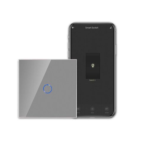 Interrupteur Tactile Intelligent Fonctionnant Avec Alexa, Google Assistant - Interrupteur Wi-Fi Encastré - Avec Panneau En Verre - Interrupteur Mural Simple En Gris - Conducteur Ne[MAT791005]