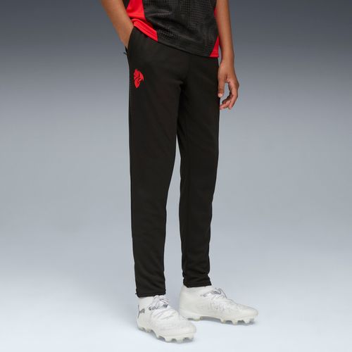 Pantalon D'entraînement Ac Milan Enfant Et Adolescent