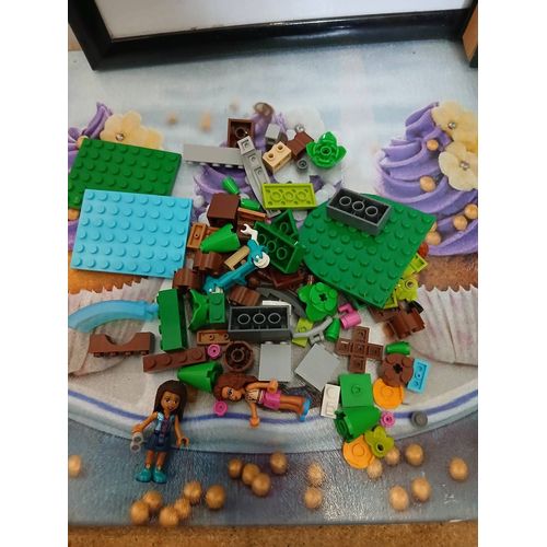 Lot Lego Friends