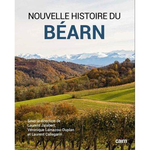 Nouvelle Histoire Du Béarn