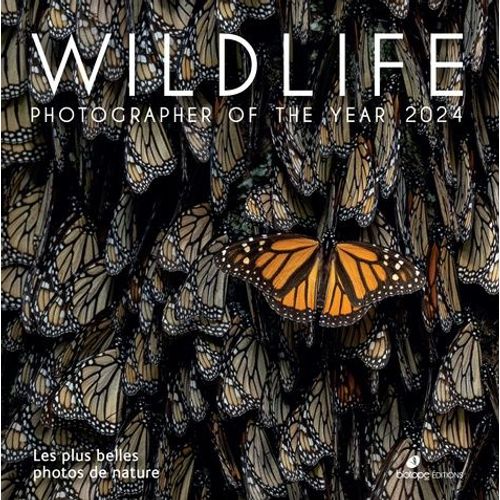 Wildlife Photographer Of The Year - Les Plus Belles Photos De Nature