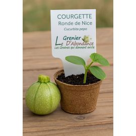 10 Graines À Semer - Le Grenier D'abondance - Courgette Ronde De Nice - Curcubita Pepo