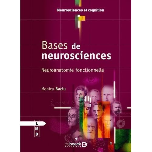 Bases De Neurosciences - Neuroanatomie Fonctionnelle