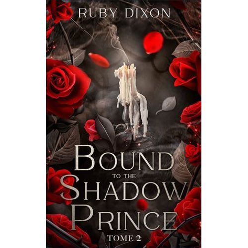 Bound To The Shadow Prince - Tome 2