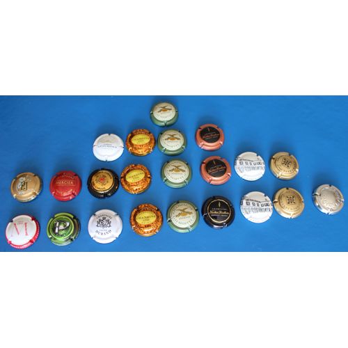 Lots De 22 Capsules De Champagne (Plaques De Muselet) : 16 Différentes