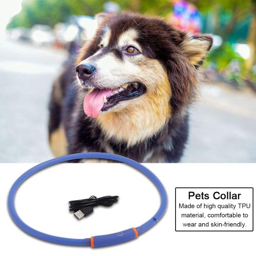 Hjlian Collier Led Rechargeable Par Usb Pour Chien, Bande Lumineuse Clignotante, Ceinture De Securite Bleue