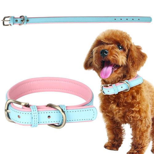 Hjlian Collier Pour Chien En Cuir Synthetique Bleu Clair Avec Boucle En Metal Bronze Pour Petit Et Moyen Gabarit (Taille Xs)