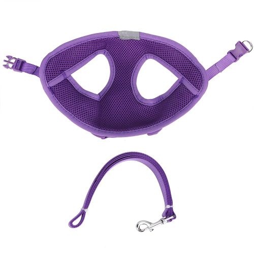 Hjlian Harnais Reglable Pour Chien De Compagnie, Laisse De Marche, Gilet De Couleur Unie, Pour Chiot (Violet, Petit)