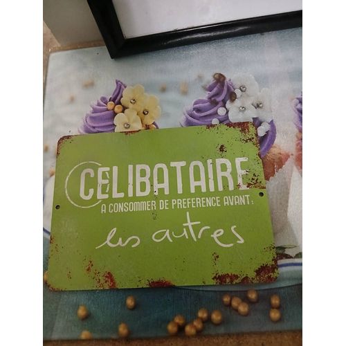 Plaque Décorative Célibataire Humour