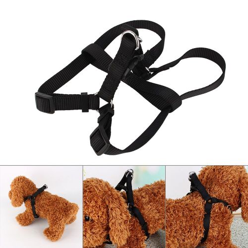 Hjlian Harnais Pour Chien En Nylon Durable Et Confortable, Ideal Pour Les Laisses De Chien Et Les Chiots