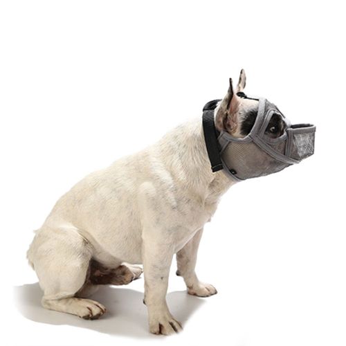 Hjlian (Commande Minimum De 5 Pieces) (Gris, Xs, Tous Les Modeles En Ligne) Nouveau Bulldog Museliere Pour Chien Bouledogue Francais Masque Pour Bouledogue Anglais Masque Anti-Morsure Pour Chien A Bouche Courte Produits Pour Animaux De Compagnie