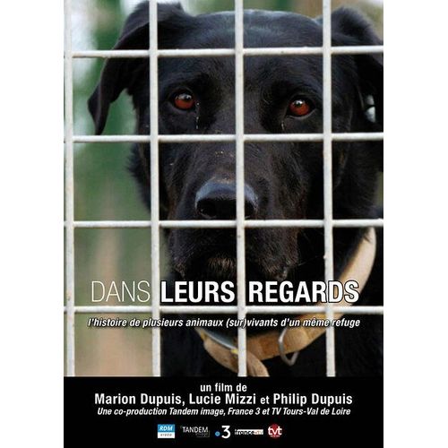 Dans Leurs Regards - L'histoire De Plusieurs Animaux (Sur)Vivants D'un Même Refuge