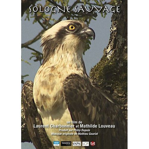 Sologne Sauvage