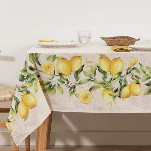 Nappe Enduite Anti-Taches En 100% Coton Multicolore 300x155 Cm