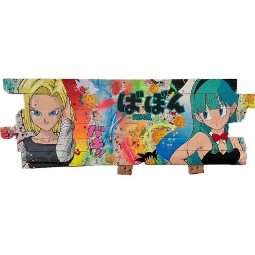 Tableau Pop Art C18 Et Bulma