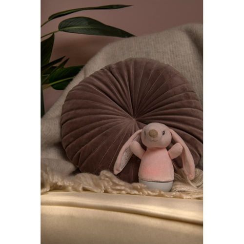Veilleuse Musicale Plastique Rose