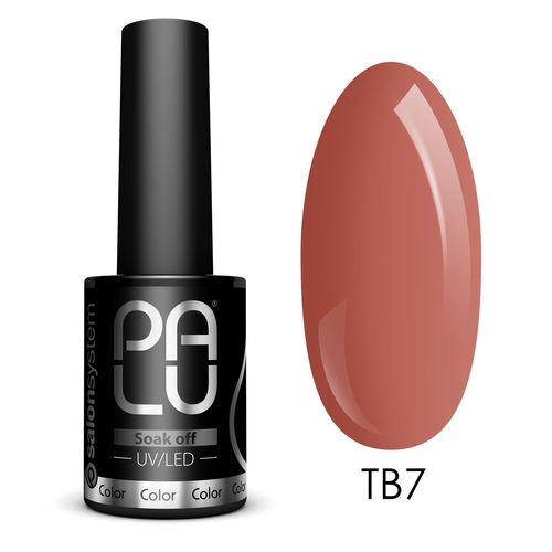 Palu Vernis Hybride Brun Tbilissi Tb7 11g Marron