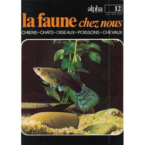 La Faune Chez Nous  N° 12 : Chiens, Chats, Oiseaux, Poissons, Chevaux