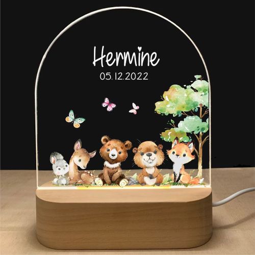 Veilleuse Led Pour Bébé, Cadeau De Naissance Personnalisé, Enfant, Nouveau-Né, Garçon, Fille, Baptême, Anniversaire, Cadeau De Noël [Efficacité Énergétique F].