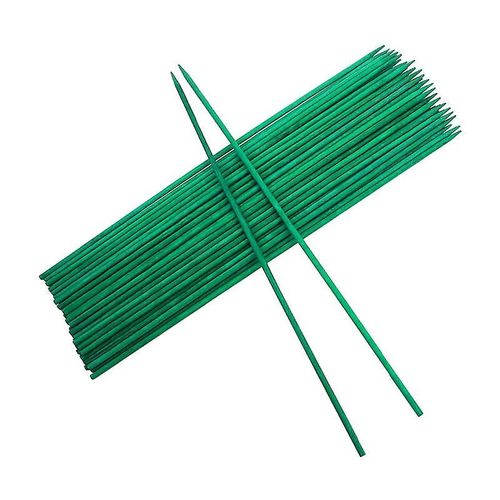 Tuteur pour plantes grimpantes en bois vert avec attaches métalliques Versailles (50 pièces)